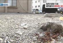 日本废弃20年