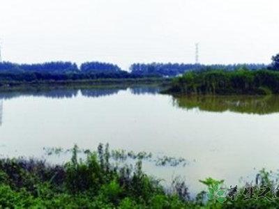 南京溧水地震 发生地震该怎么办