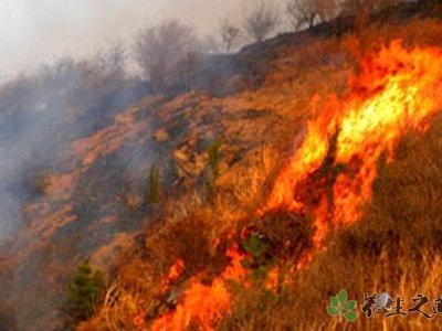 澳大利亚南部热浪 天气炎热要注意什么