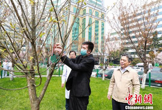 男子罹患多种疾病 同时换心脏和主动脉获新生 男子罹患多种疾病 同时换心脏和主动脉获新生