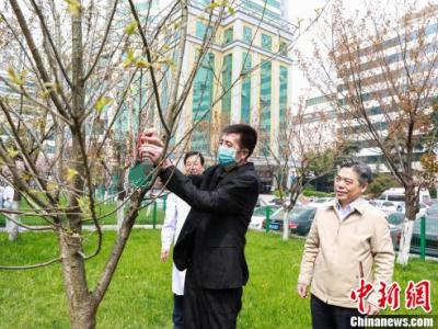 男子罹患多种疾病 同时换心脏和主动脉获新生