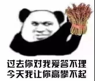 喜提蔬菜界“爱马仕”？这种野菜成春日新宠