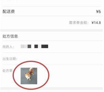 宠物照片充当处方竟能网购处方药