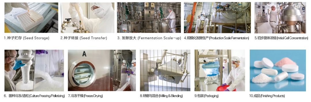 不用煲汤吞海参,这个提高免疫力的法子一学就会-易网健康养生网 不用煲汤吞海参,这个提高免疫力的法子一学就会