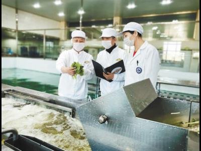 守护食品安全的人：敬畏“舌尖上的安全”