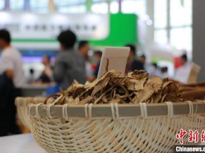 中药材质量现况令人担忧 急待有“地头”到“卧室床”的追溯