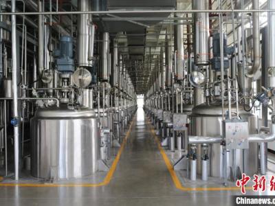 葛洪医药遗产在广东罗浮山得到传承 已研制180多个医药品种
