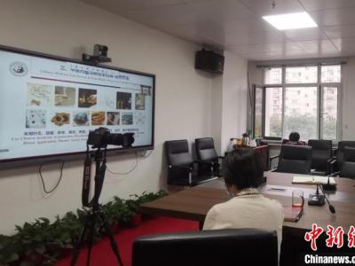 河南中医名家向30余个海外侨社团直播中医药防疫