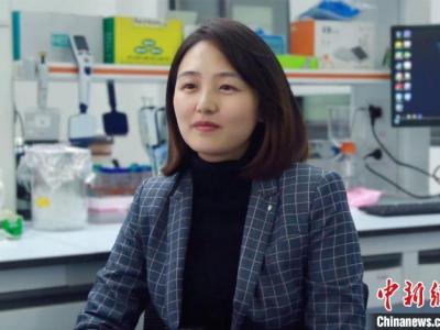 沪科研团队：过量补充叶酸或叶酸代谢不足对生物体早期发育有负面作用