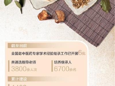 让中医“绝技”代代相传（深度观察）