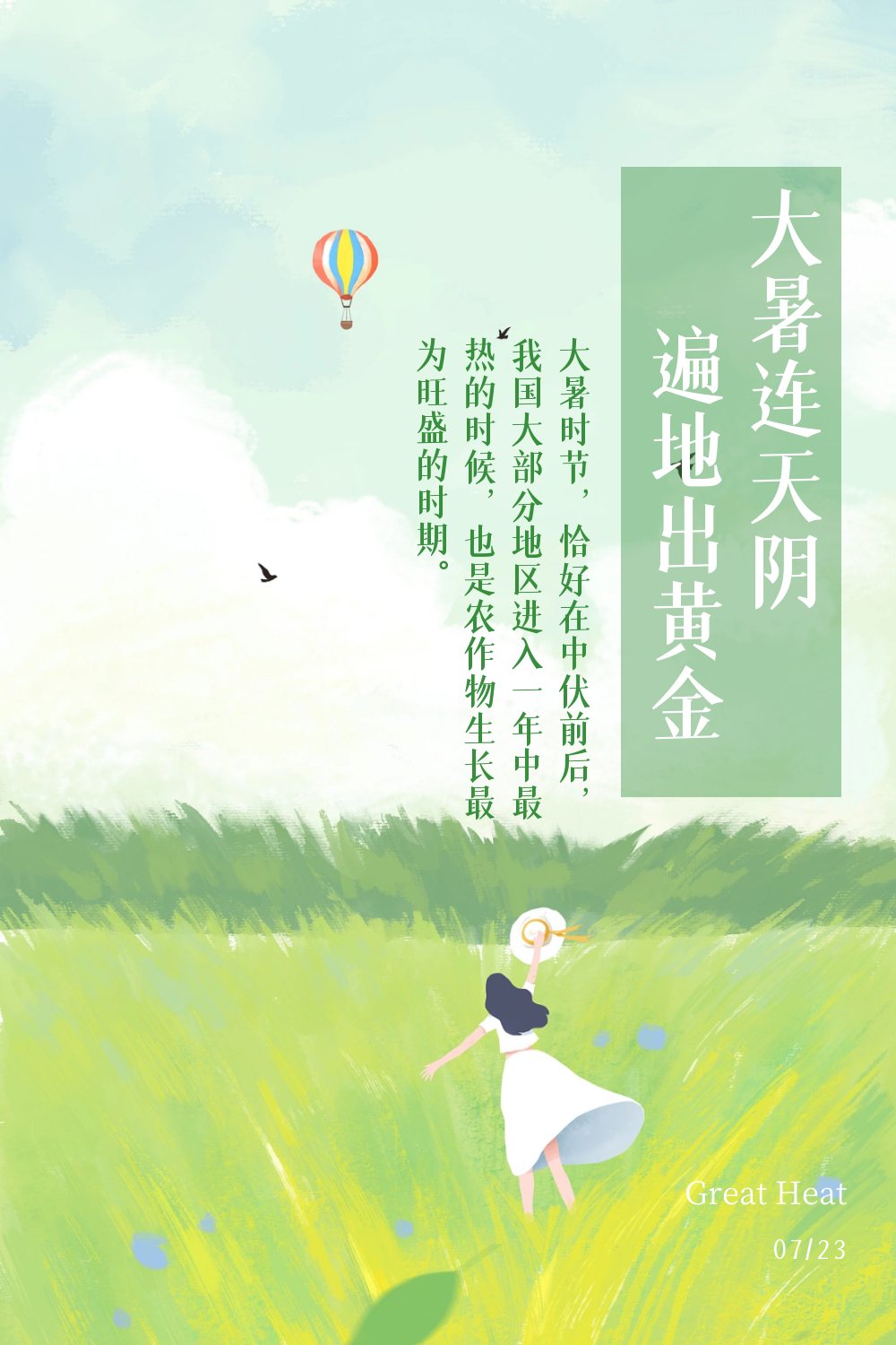 今日大暑宜静心赏荷