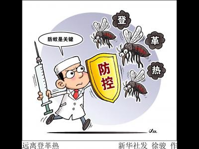 我国部分省份现登革热散发病例 专家提示防蚊虫孳生