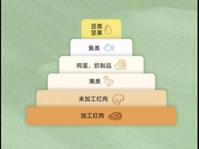 新年健康小贴士：植物好蛋白，爱豆更健康