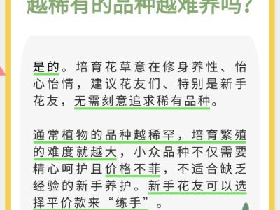 室内花卉绿植怎么选？实用小贴士请查收