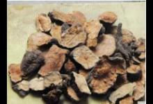 何首乌可治疗肠燥便秘 孕妇需注意用量