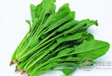 这4种彩色食物，保你眼睛更有光泽