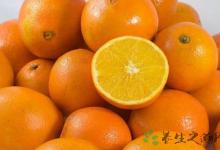 上班族应该吃什么水果