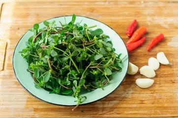 春天一定要吃的十四大黄金野菜