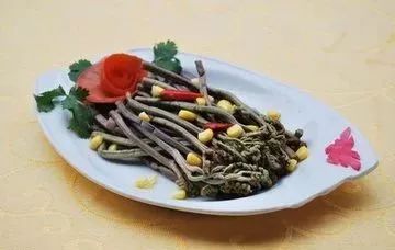 春天一定要吃的十四大黄金野菜