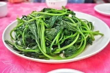 春天一定要吃的十四大黄金野菜