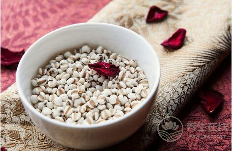 这些主食能有助于减肥你造吗? 这些主食能有助于减肥你造吗?