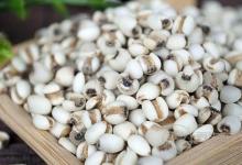 吃什么养生  薏米与这物搭配食用养生效果更佳