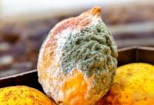 肝病跟吃关系大？想肝脏健康，少吃4类食物