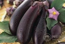 三种蔬菜快速降脂  快速降脂蔬菜做法