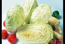大白菜有益健康 要注意这些食用禁忌