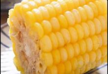 病毒性脑炎饮食保健食疗法