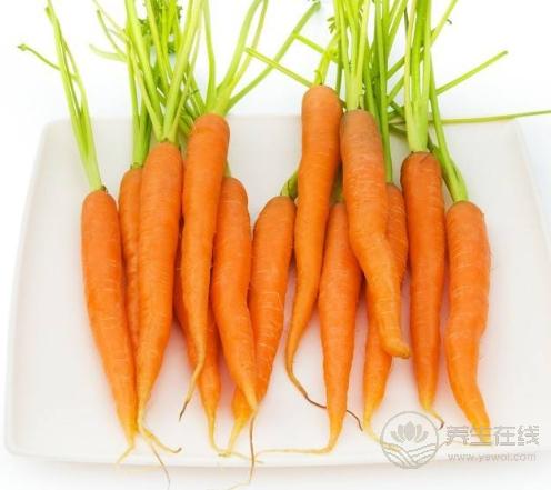 贫血吃什么?这4种食物补血效果不比红枣差 贫血吃什么?这4种食物补血效果不比红枣差