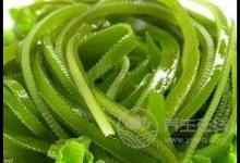 平民补血食物 错过是你的损失