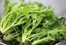 这些植蔬药食两用