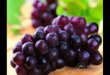 补血养颜就多吃这6种食物