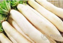 白萝卜和西红柿能一起吃吗？白萝卜和什么食物一起吃好？
