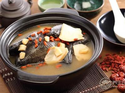 滋补乌骨鸡的养生功效