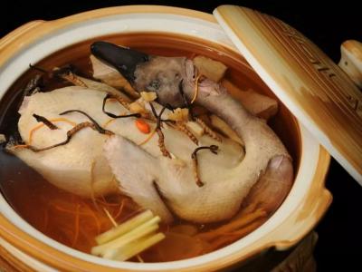 海参老鸭汤怎么做更有营养也更好吃