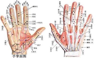 手上有哪些经络它们的作用分别是什么