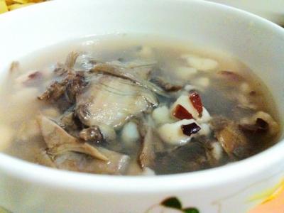 冬虫夏草炖鸭子的营养功效与作用