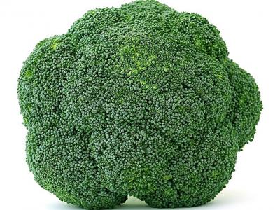 生活中有哪些排油脂效果比较好食物