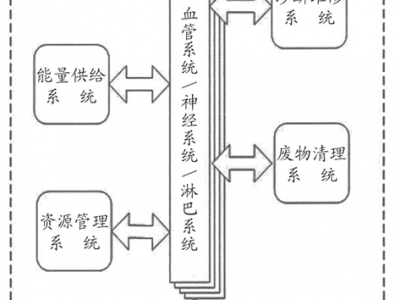 从中医西医的对比中 看人体的系统奥秘