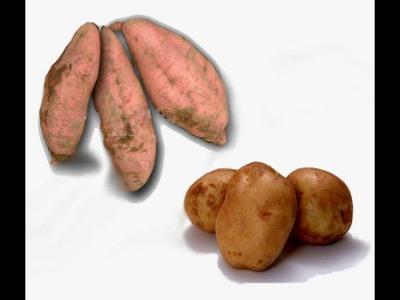 地瓜和土豆的区别以及他们的营养价值
