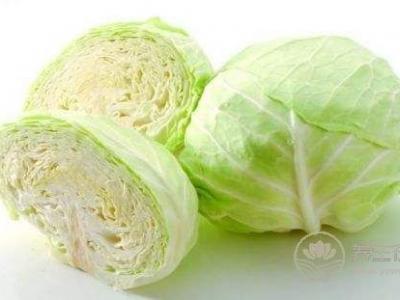 暴强减肥食谱　素炒圆白菜　