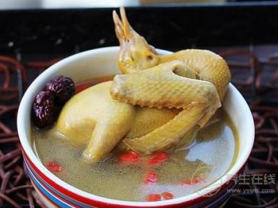 鸽子汤怎么炖最营养 鸽子汤的做法