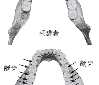换种吃法更健康：什么是“原始饮食”？