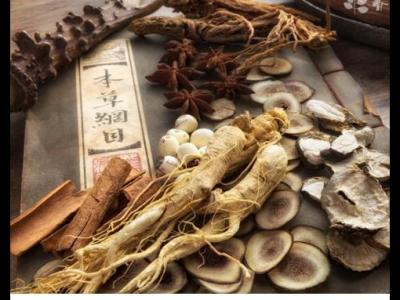 在月经期间补充吃人参可以吗