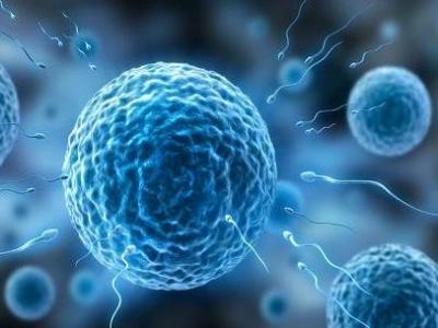 男性精子和性能力常见的错误认知解答