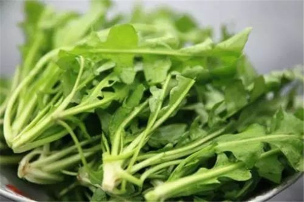 含钙高的食物有哪些