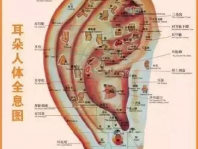 这一位置，拉的越大，肾就就越好，男人女人都适合