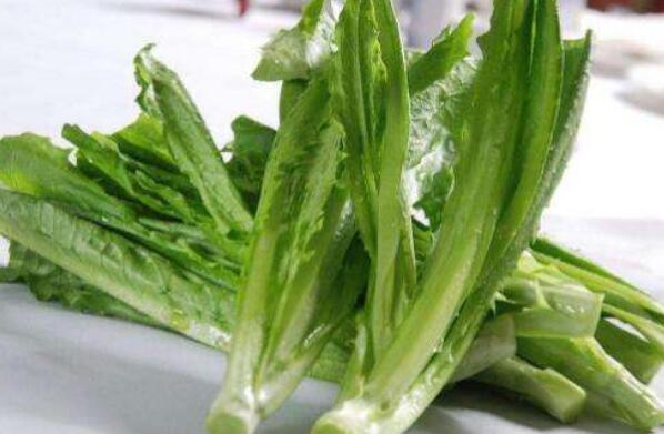 小青菜的作用与功效 吃小青菜的益处